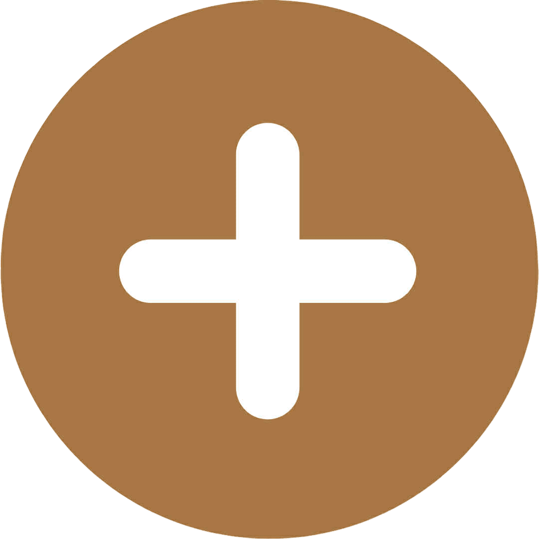 ikona plus